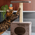Load image into Gallery viewer, Purrfect Scratch with cat
