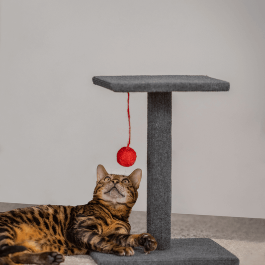 Elegant Cat Scratcher