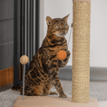 Load image into Gallery viewer, Purrfect Scratch
