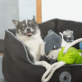 Load image into Gallery viewer, Sheep Rope Toy with dog
