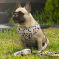 Load image into Gallery viewer, Colorful Dotted Harness
