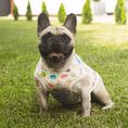 Load image into Gallery viewer, Sugary Couture: Adorable Macaroon T-Shirt for your Pup

