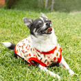 Load image into Gallery viewer, Tasty Threads: Playful Burger T-Shirt for your Dog
