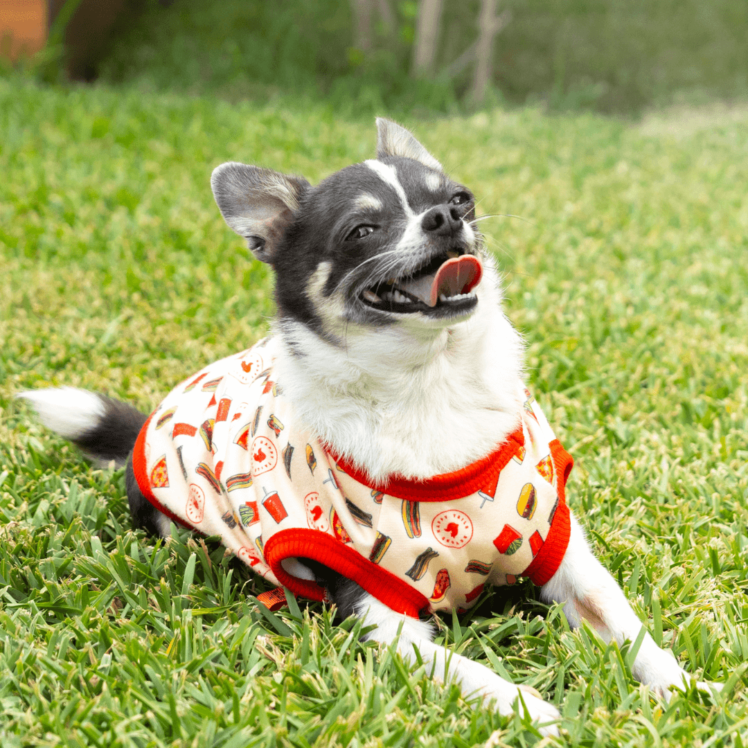 Tasty Threads: Playful Burger T-Shirt for your Dog
