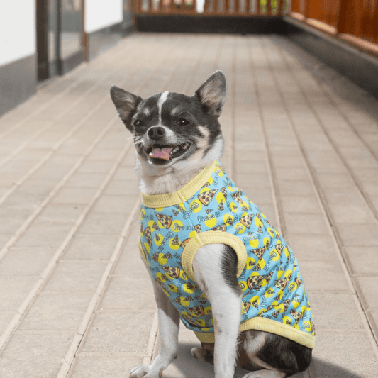 Pizza Pupwear: Adorable Pups Clothing