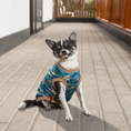 Load image into Gallery viewer, Stylish Hats, Glasses and Dog Clothing
