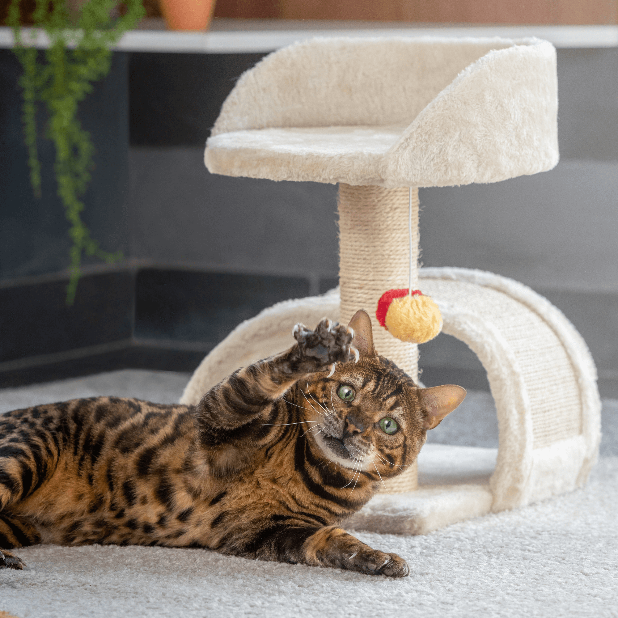 Minimalist Cat Scratcher