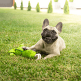 Load image into Gallery viewer, Crocodile Rope Plush Toy with dog
