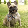 Load image into Gallery viewer, PolkaDogs: Colorful Dotted Bandana
