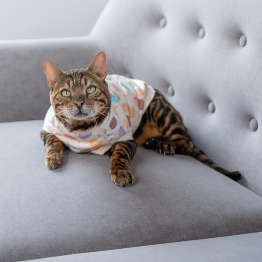 Sugary Couture: Adorable Macaroon T-Shirt for your Kitten