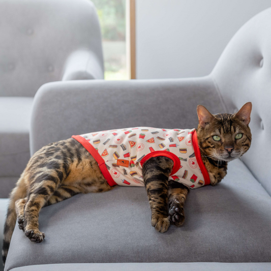 Tasty Threads: Delicious Burger T-Shirt for your Kitten