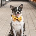 Load image into Gallery viewer, Fried Eggs Bowtie with dog
