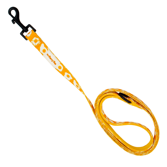 Fry Up Style: Fried Eggs Leash