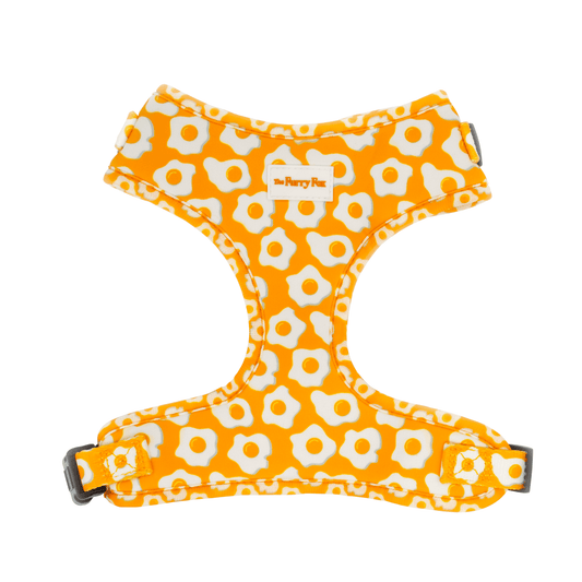 Fried Eggs Harness for Dogs