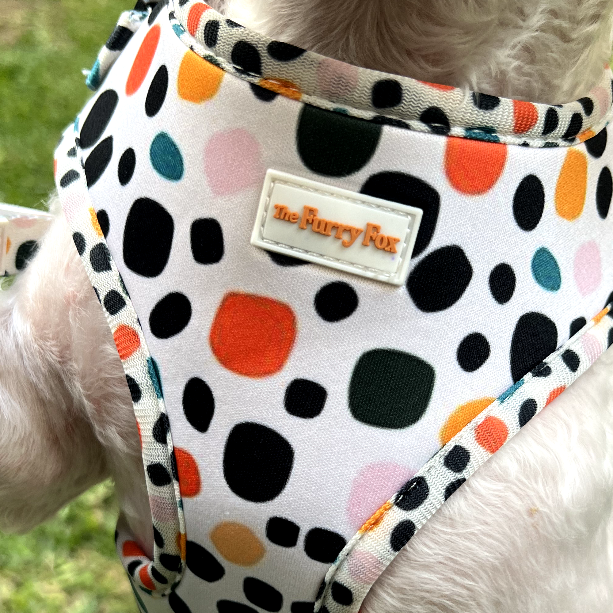 PolkaDogs: Colorful Dotted Harness for Pups