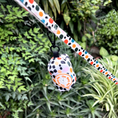 Load image into Gallery viewer, PolkaDogs: Colorful Dotted Leash
